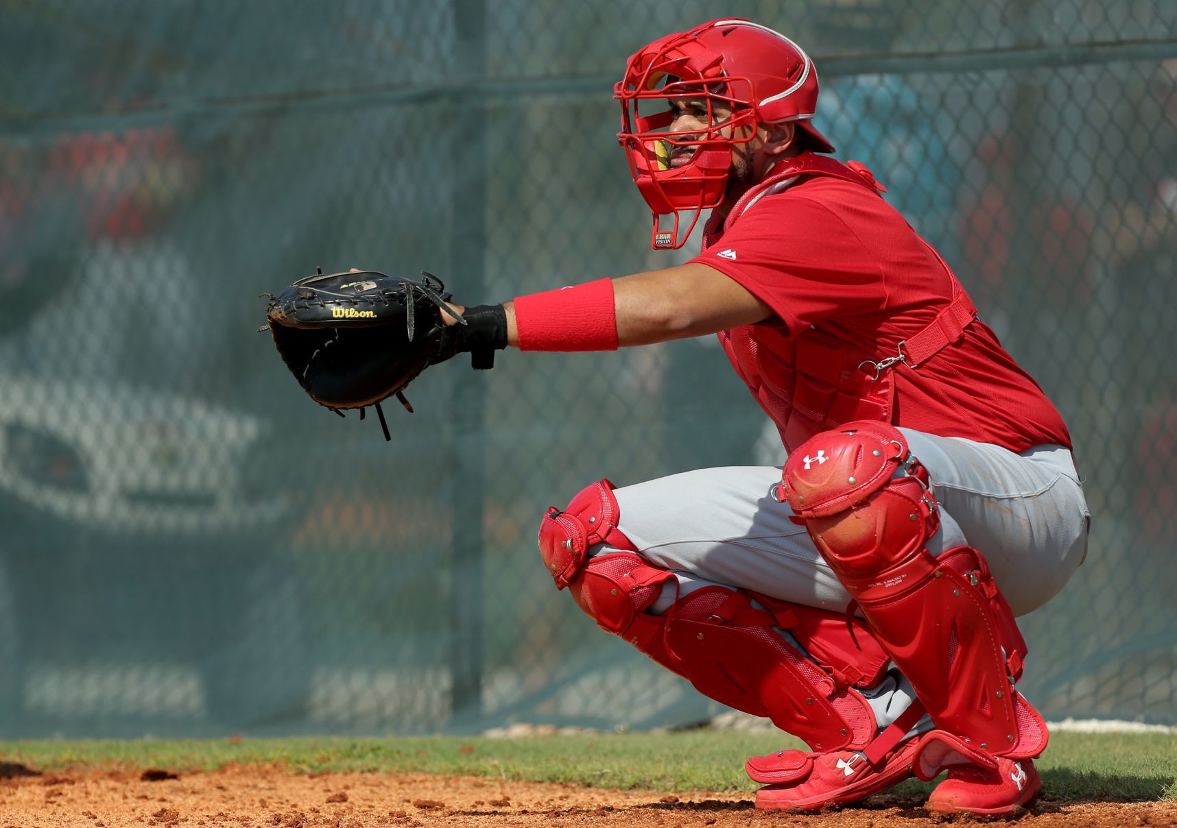 2019 Cardinals spring training